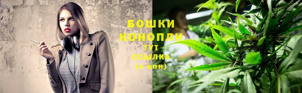 прущие грибы Баксан