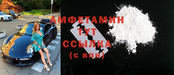 прущие грибы Баксан